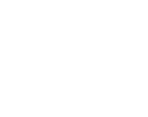 BASKET LANDES